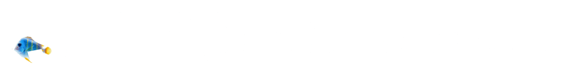 allin-1
